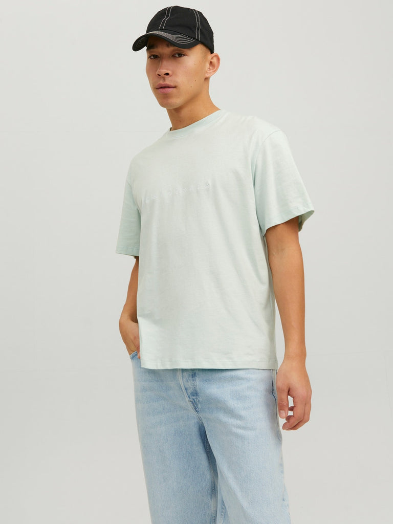 Regular Fit Logo Unisex T-Shirt in Pale Blue-t shirts-Heroes