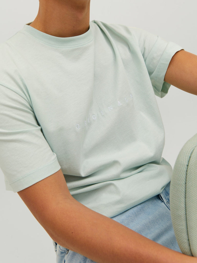 Regular Fit Logo Unisex T-Shirt in Pale Blue-t shirts-Heroes