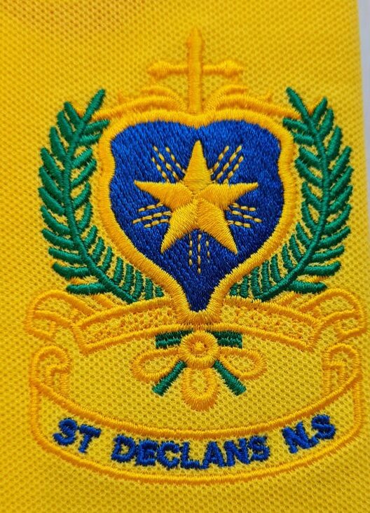 St Declan's Primary School Polo-polo-Heroes