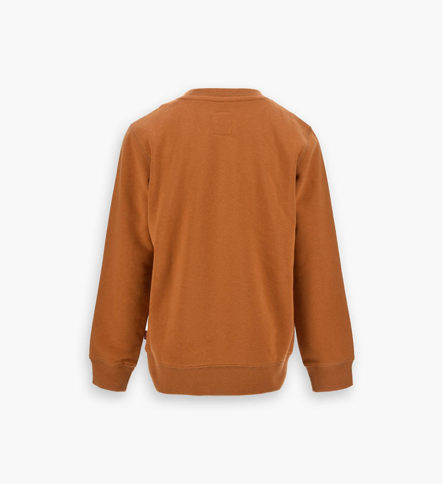 Levi Teens Batwing Crewneck - Cathy Spice-sweatshirts-Heroes