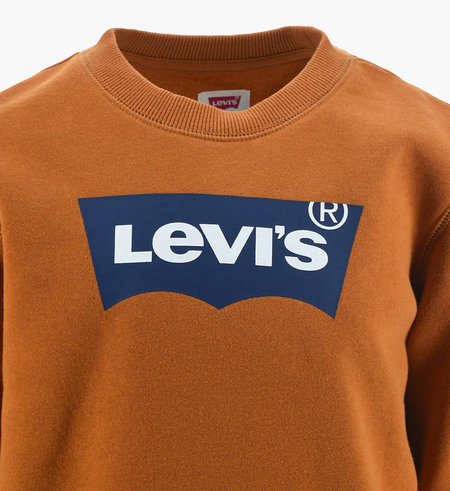 Levi Teens Batwing Crewneck - Cathy Spice-sweatshirts-Heroes