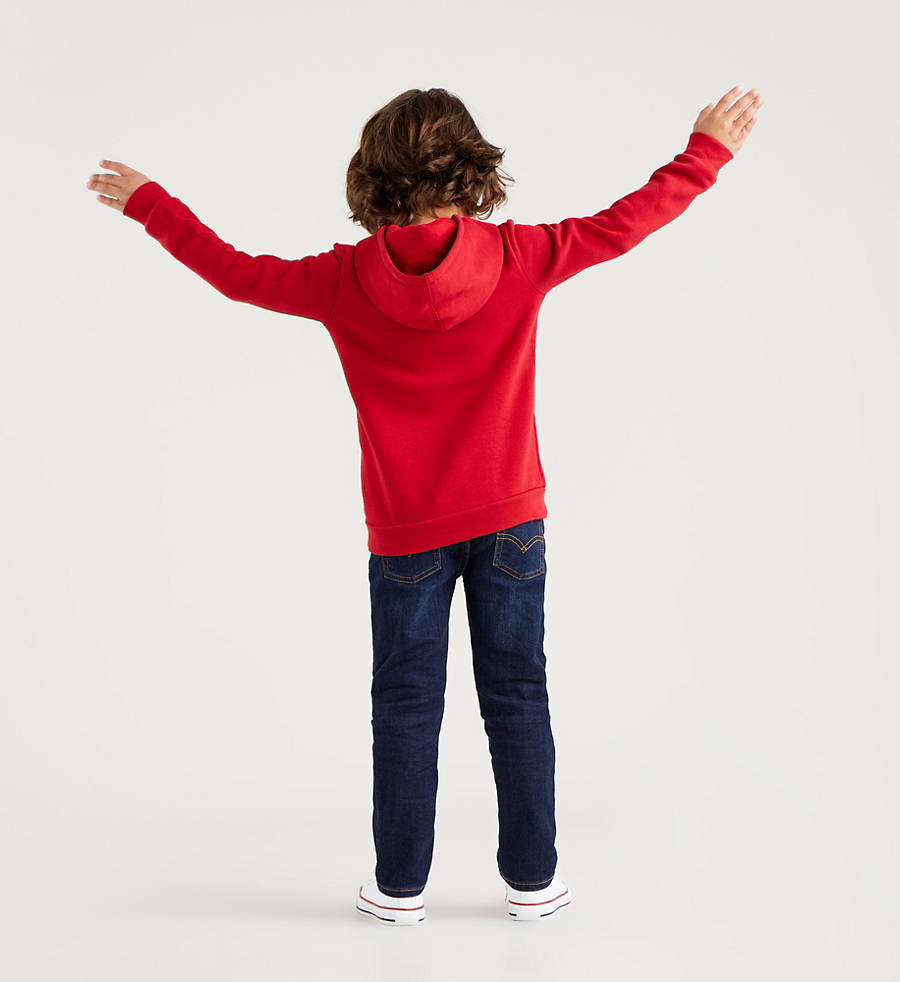 Levi Kids Batwing Screenprint Hoodie Red-sweatshirts-Heroes