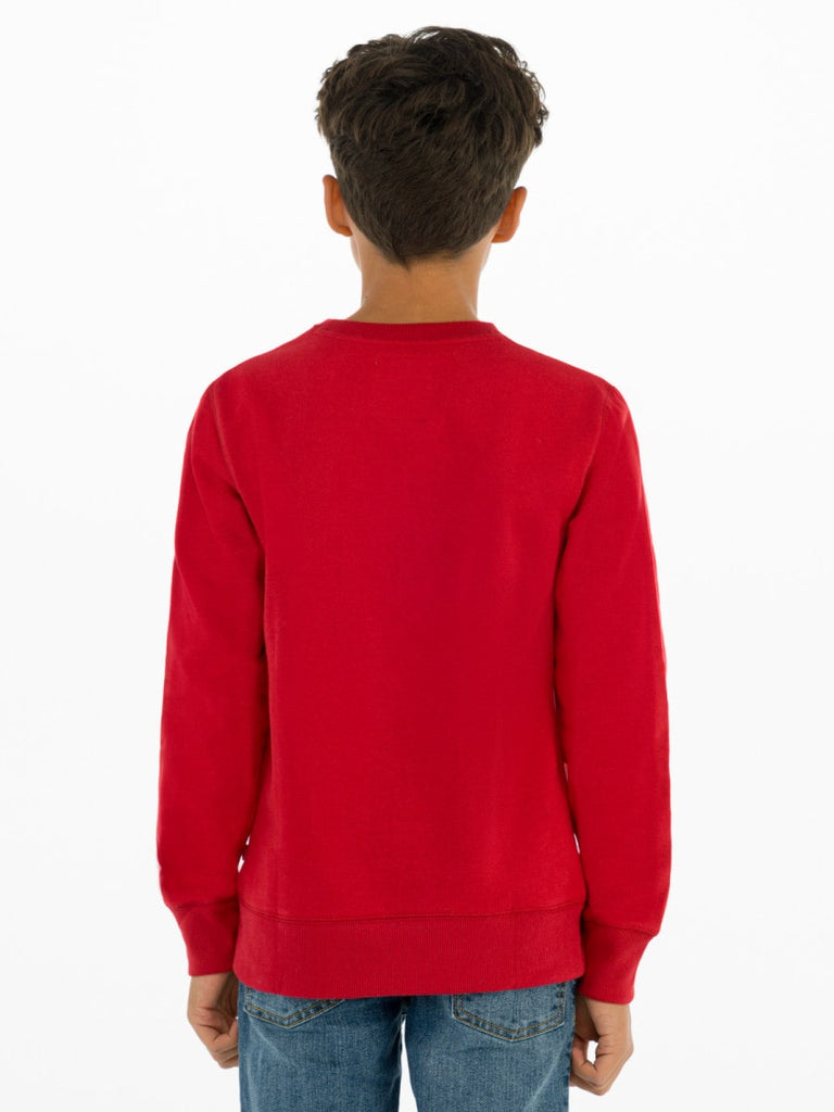 Levi's Teen's Batwing Crewneck Sweatshirt Red-Heroes