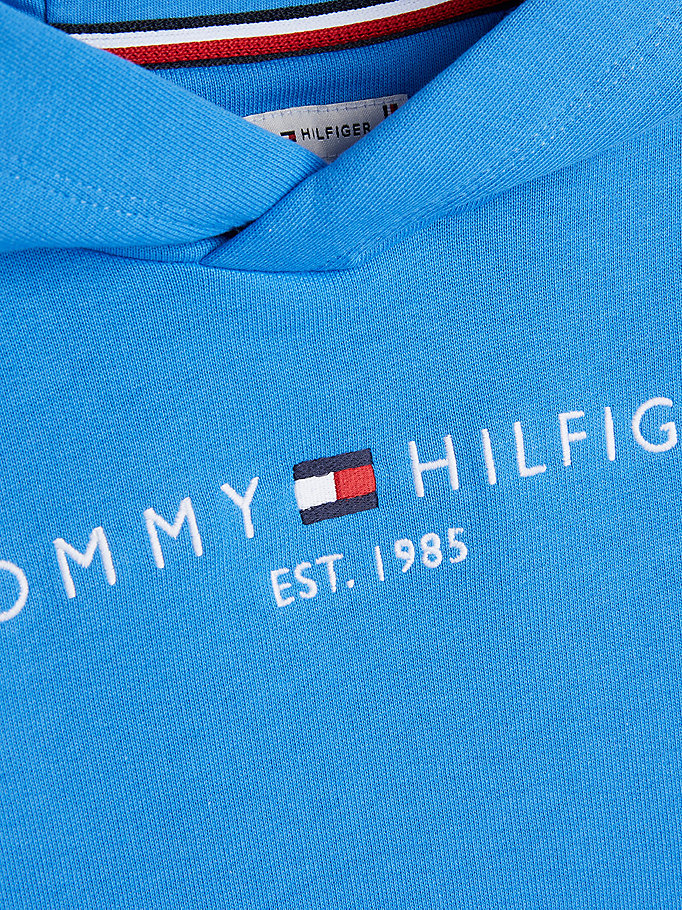 Tommy Hilfiger Essential Dual Gender Terry Hoody Mesmerizing Blue-sweat-Heroes