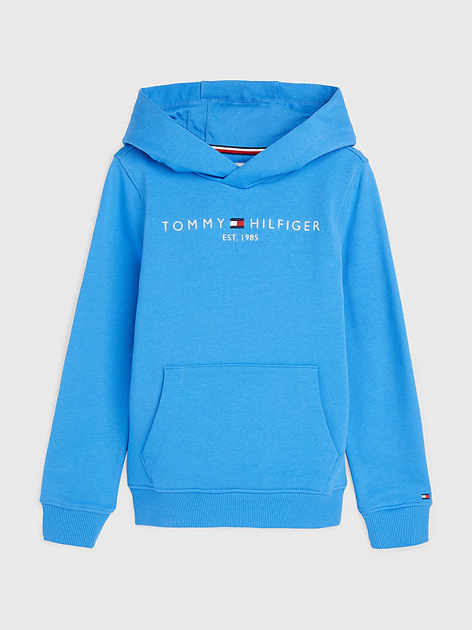 Tommy Hilfiger Essential Dual Gender Terry Hoody Mesmerizing Blue-sweat-Heroes