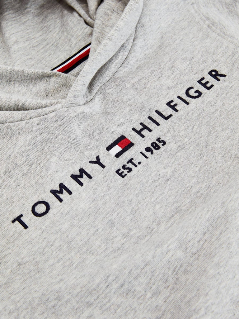 Tommy Hilfiger Boys (Age 2-8) Essential Logo Hoodie Grey-Heroes