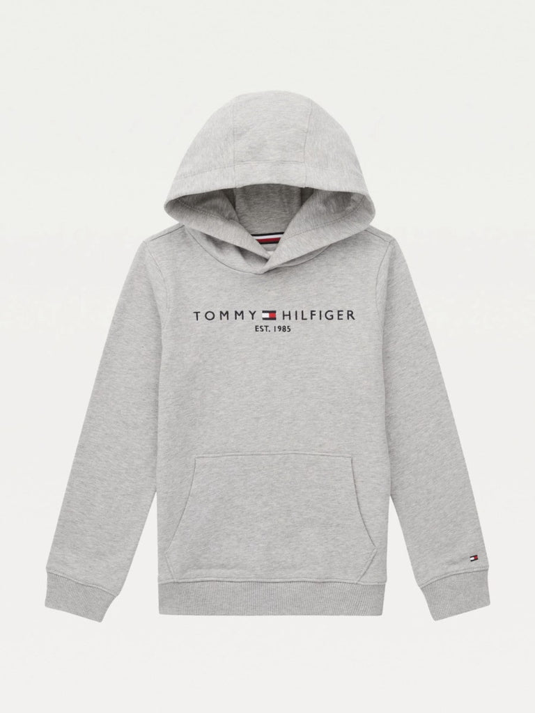 Tommy Hilfiger Boys (Age 2-8) Essential Logo Hoodie Grey-Heroes
