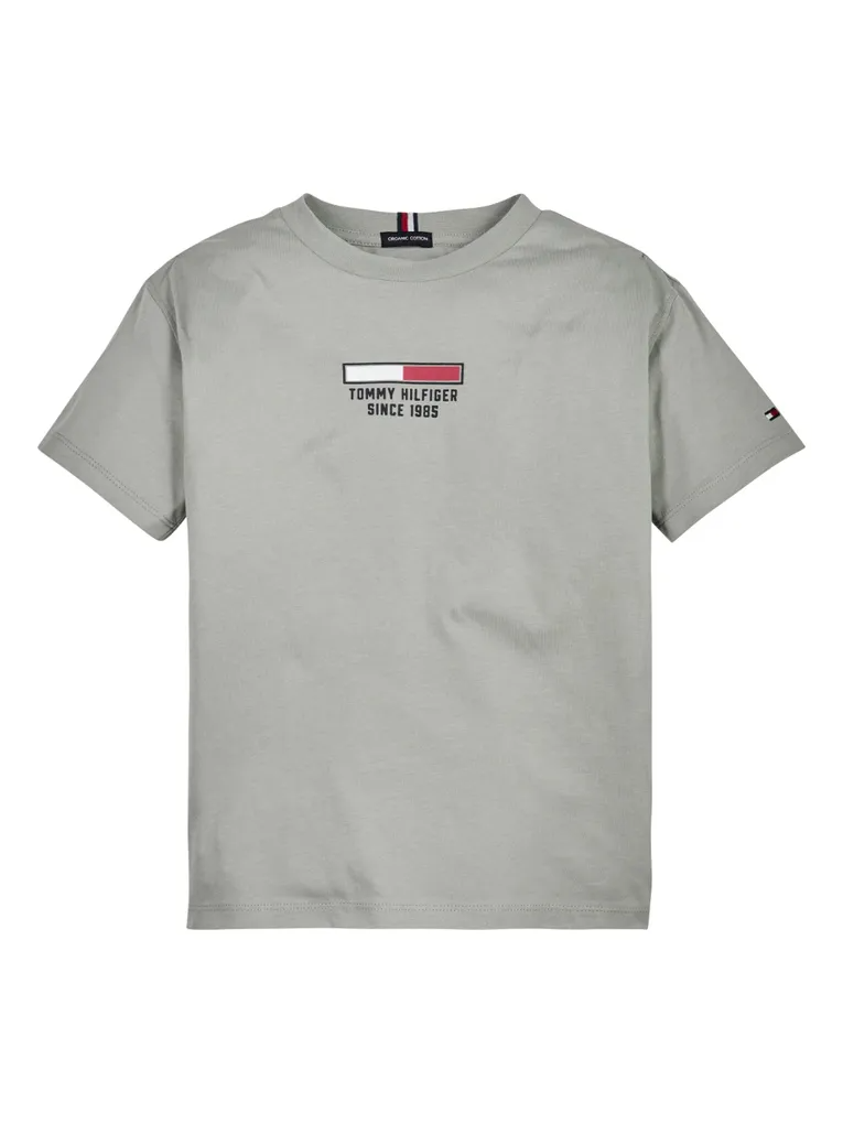 Tommy Hilfiger T-Shirt Flag Logo Faded Willow-t-shirt-Heroes
